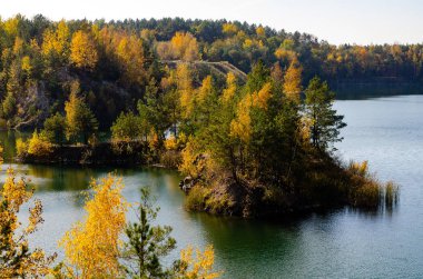 Ormandaki güzel bir gölün manzarası