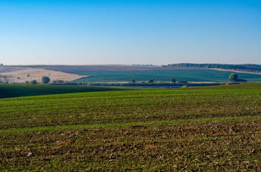 Tarım alanı manzarası