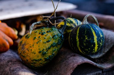 Dekoratif kabaklar ve Cadılar Bayramı için sonbahar yaprakları.