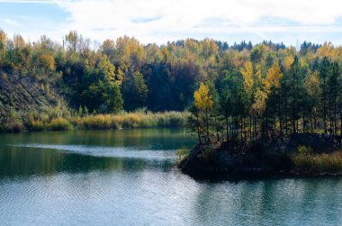Ormandaki güzel bir gölün manzarası