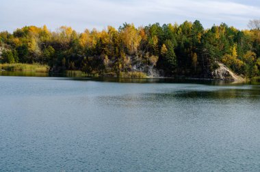Ormandaki güzel bir gölün manzarası