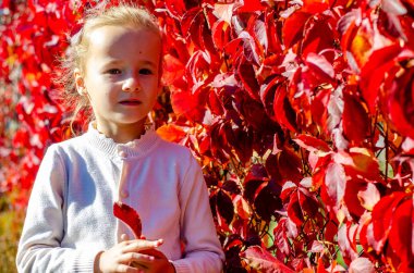 Parktaki kırmızı sarmaşık duvarının yanında duran sevimli küçük kızın portresi.