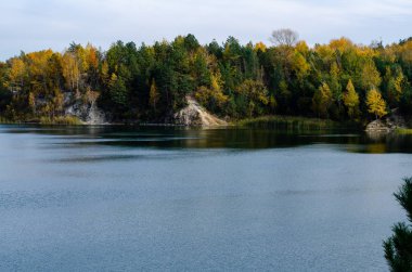 Ormandaki güzel bir gölün manzarası