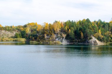 Ormandaki güzel bir gölün manzarası