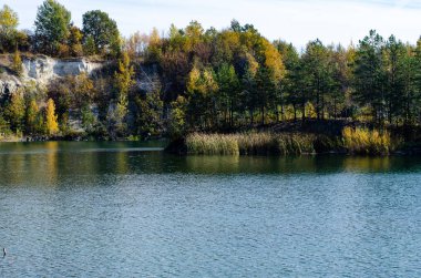 Ormandaki güzel bir gölün manzarası