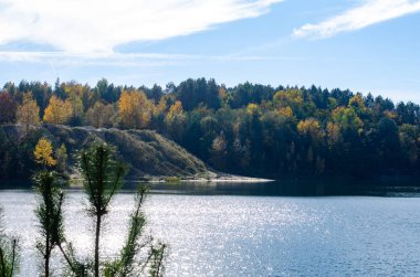 Ormandaki güzel bir gölün manzarası