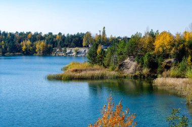 Ormandaki güzel bir gölün manzarası