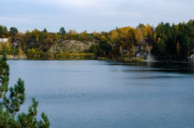 Ormandaki güzel bir gölün manzarası