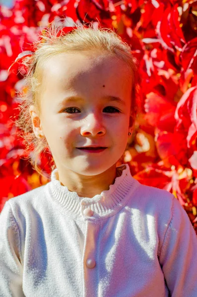 Портрет Милой Маленькой Девочки Стоящей Красной Стены Плюща Парке — стоковое фото
