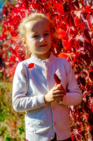 Портрет Милой Маленькой Девочки Стоящей Красной Стены Плюща Парке — стоковое фото