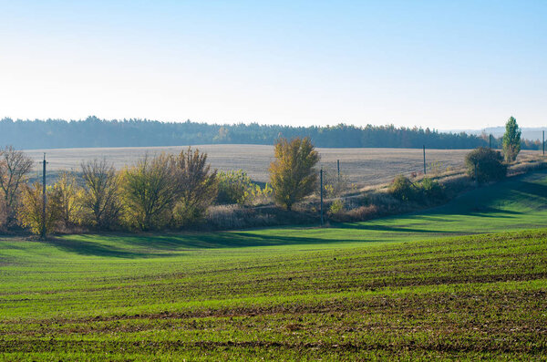 Agriculture field landscape view