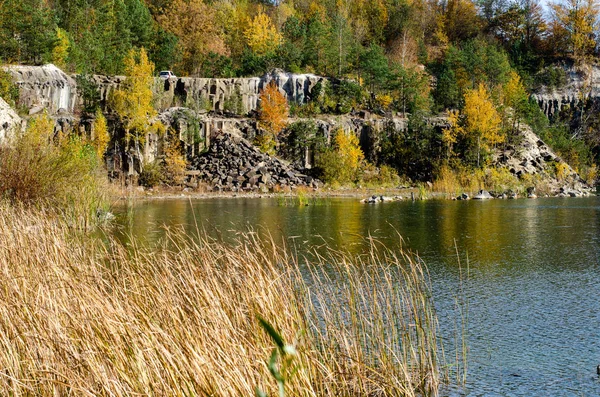 Paysage Beau Lac Dans Forêt — Photo