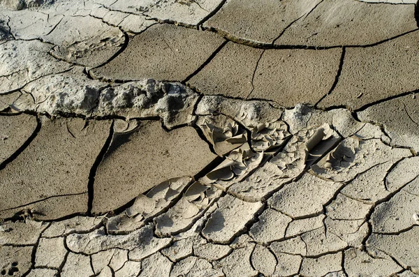 Dry Cracked Land Background — Stockfoto