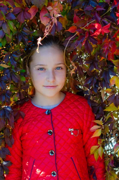 Portrait Cute Little Girl Standing Red Ivy Wall Park — Stock Photo, Image