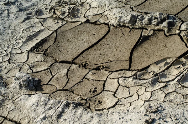Texture Cracked Land Background Old Dry Earth Cracks — Stockfoto