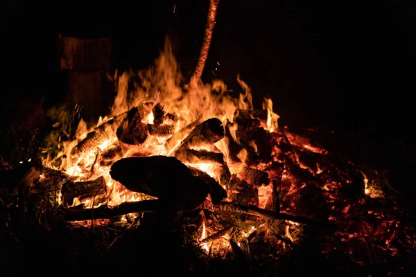 Nacht kampvuur met beschikbare ruimte aan linkerzijde. — Stockfoto