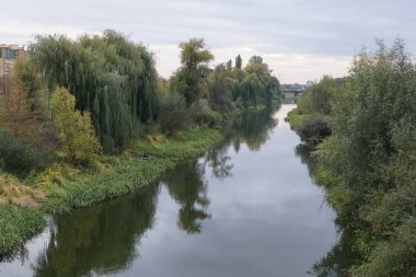 Sonbahar ağaçlı nehir manzarası 