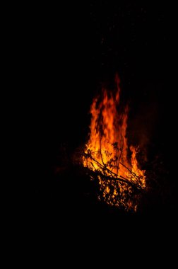 Şenlik ateşi geceleri ağaçları yakıyor. Büyük turuncu alev siyah arka planda izole edilmiş. Siyaha ateş. Parlak, sıcak, ışık, kamp, büyük şenlik ateşi