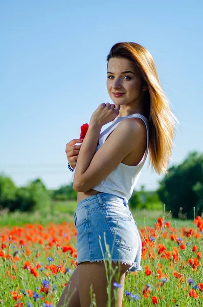 Wanita cantik di lapangan dari bunga poppy — Stok Foto