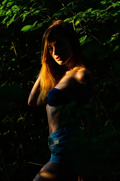 Belle fille sexy forêt sombre — Photo