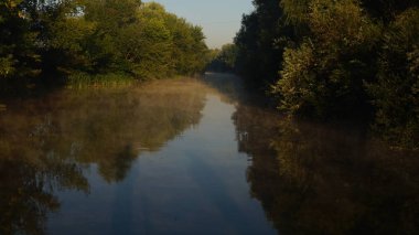 Nehir ve ağaçlarla dolu güzel bir manzara