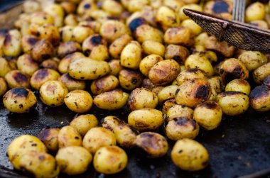 Kızarmış patates, domuz pastırması sarımsaklı, tuzlu, kimyon dereotu ve bitki süslemesi..