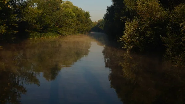 Nehir ve ağaçlarla dolu güzel bir manzara