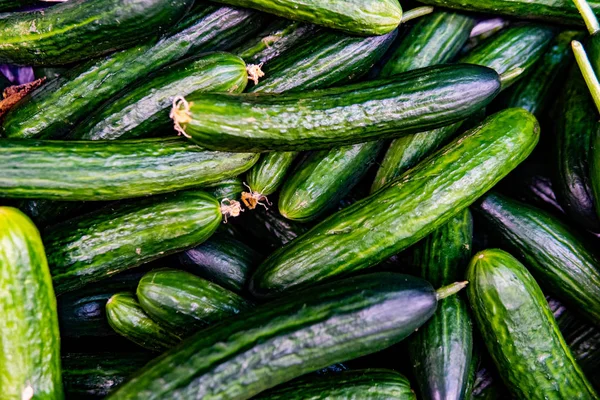 Cucumbers. Close-up of ripe green cucumbers — Stock Photo, Image