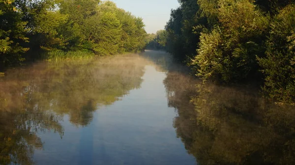 Fiume Nella Foresta — Foto Stock