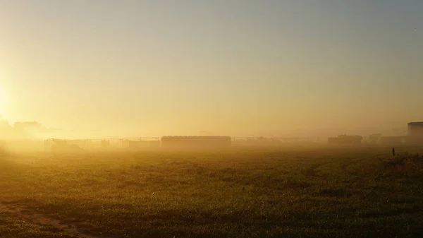 Красивый Вид Поле Фермы Тумане — стоковое фото