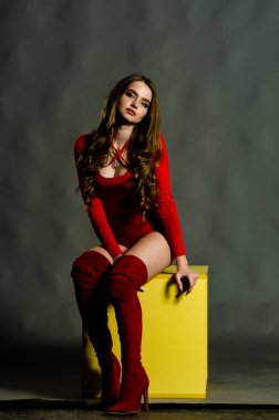 Yüksek seksi esmer iç çamaşırı stüdyo resmi.