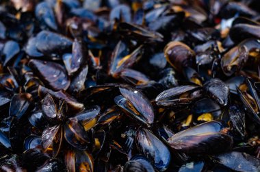 Taze ızgara tava, midye. Deniz açık havada barbekü. Piknik sağlıklı gıda, midye kabukları içinde. Çok geniş metalik pan pişirme midye kabukları.