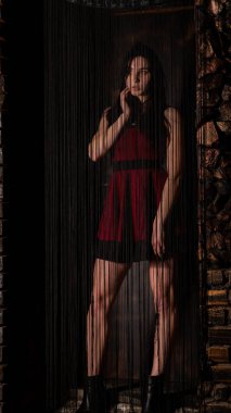 Koyu renk saçlı, kırmızı elbiseli, karanlık stüdyoda poz veren genç ve seksi bir kadın..