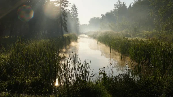 Beautiful Misty Morning River — Stock Photo, Image