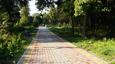 Parkın güzel manzarası