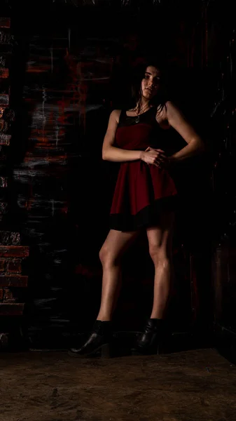 Pretty Young Sexy Model Female Dark Hair Red Dress Posing Stock Picture