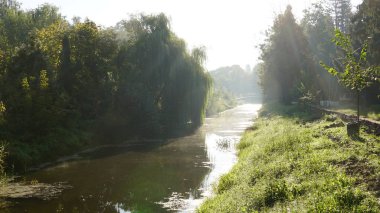 Ormandaki güzel nehir