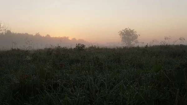 Beautiful View Field Farm Fog — Foto Stock