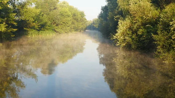 Nehir ve ormanlı güzel bir manzara.
