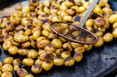 Kızarmış patates, domuz pastırması sarımsaklı, tuzlu, kimyon dereotu ve bitki süslemesi..