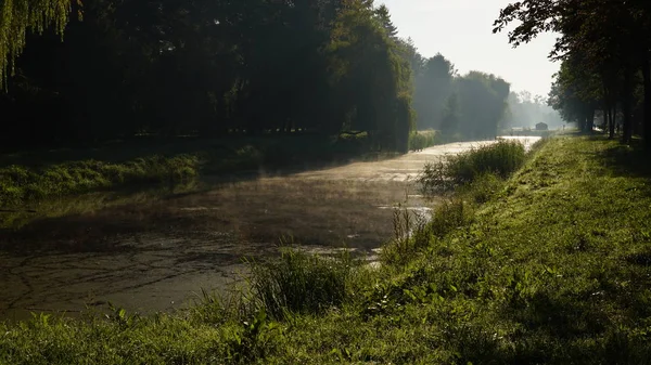 Wunderschöne Landschaft Mit Fluss Und Wald — Stockfoto