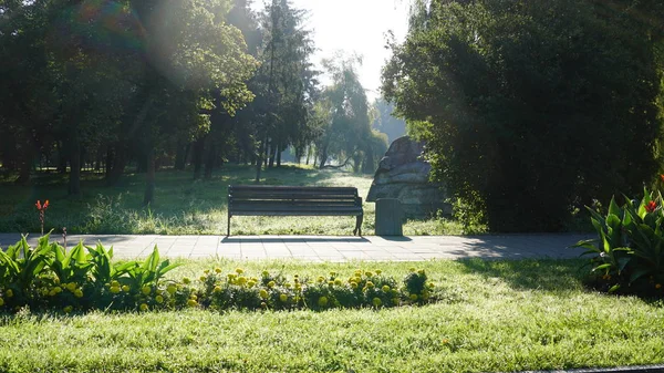 Beautiful View Bench Sunny Park — Stockfoto