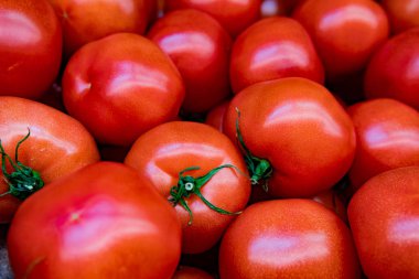 Kırmızı domates arka planı. Bir grup domates.