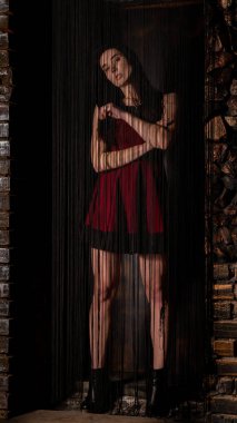 Koyu renk saçlı, kırmızı elbiseli, karanlık stüdyoda poz veren genç ve seksi bir kadın..