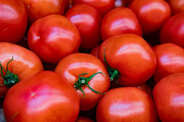 Kırmızı domates arka planı. Bir grup domates.
