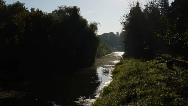 Ormandaki güzel nehir