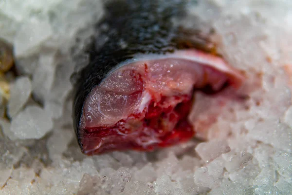 Questa foto mostra il congelamento del pesce sgombro nel negozio di pesce, con ghiaccio per la conservazione — Foto Stock