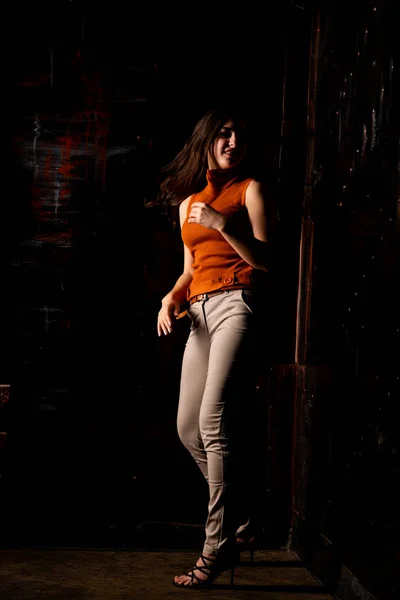 Beautiful Brunette Model Posing Dark Room Royalty Free Stock Images