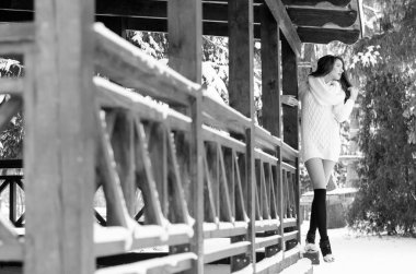 Kar Kraliçesi. Bir kış kadınının portresi.