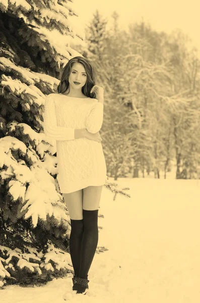 Reina de la nieve. Retrato de una mujer de invierno . —  Fotos de Stock